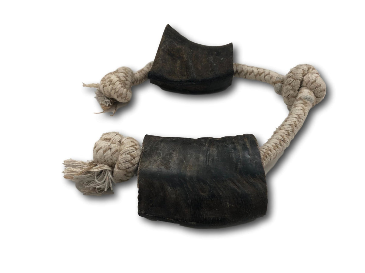 http://topdogchews.com/cdn/shop/products/water-buffalo-horn-and-rope-chew-toy-medium-527115_1200x1200.jpg?v=1585253296