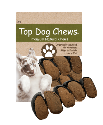 Bacon & Cheese Filled Cow Hooves for Dogs - Made in The USA Bag of 5 - Top Dog Chews