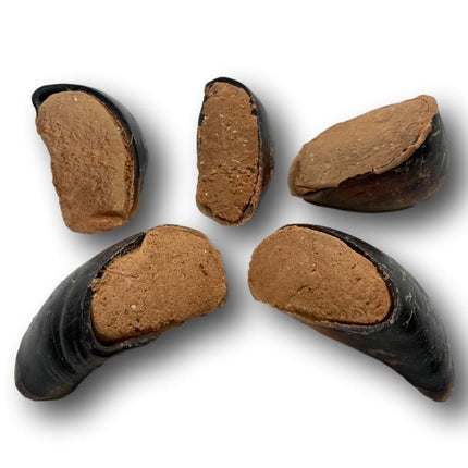 Bacon & Cheese Filled Cow Hooves for Dogs - Made in The USA Bag of 5 - Top Dog Chews