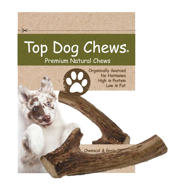 Deer Antler Dog Treats Medium 1 Piece Top Dog Chews