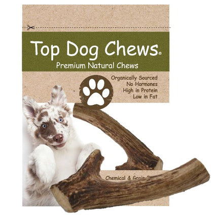 Deer Antler Dog Treats - Medium - 1 Piece - Top Dog Chews