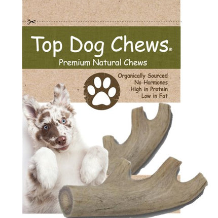 Deer Antler Dog Treats - Small - 1 Piece - Top Dog Chews