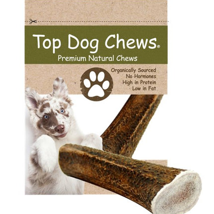 Elk Antler Dog Treat - Extra Large - 1 Piece - Top Dog Chews