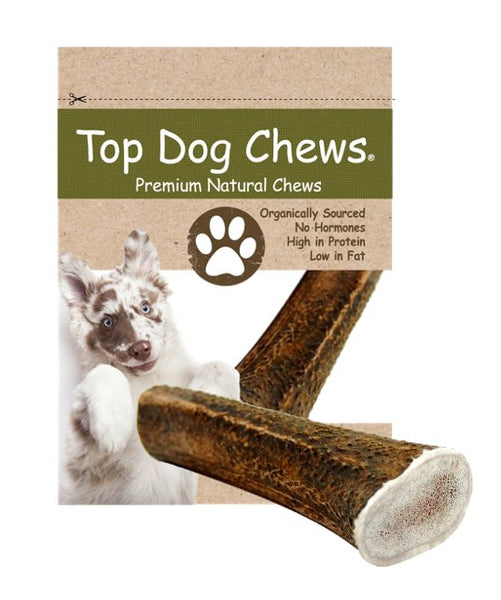 Elk Antler Dog Treat - Extra Large - 1 Piece - Top Dog Chews