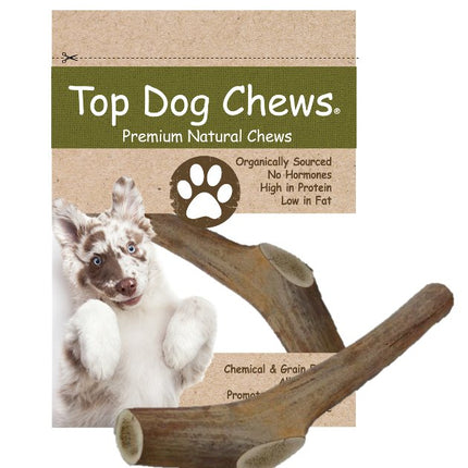 Elk Antler Dog Treat - Large - 1 Piece - Top Dog Chews