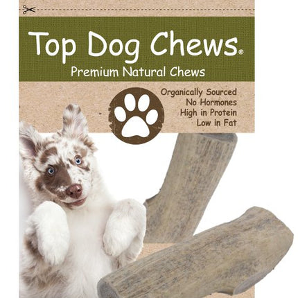Elk Antler Dog Treat - Medium - 1 Piece - Top Dog Chews