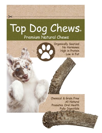 Elk Antler Dog Treat - Small - 1 Piece - Top Dog Chews