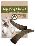 Goat Horn Medium 8" - 10" - Top Dog Chews