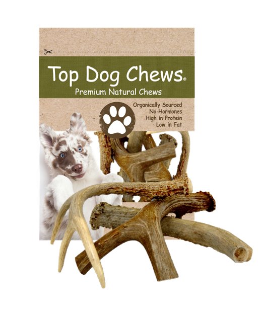 Premium Large Thick shops Elk Antler 5 Pack Dog Chew Treat - Top Dog Chews Made in USA