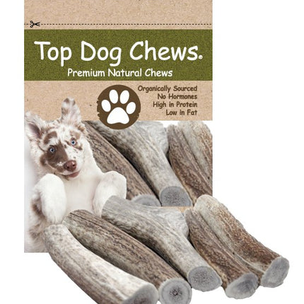 Premium Large Elk Antler Dog Treats, 5 count - Top Dog Chews