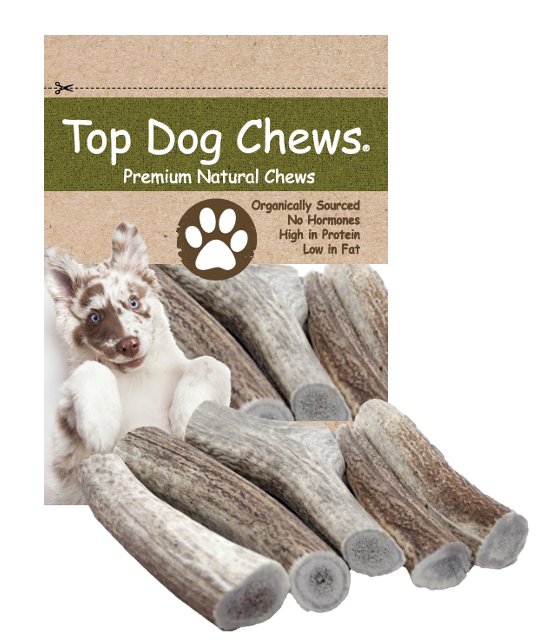 Premium Large Elk Antler Dog Treats, 5 count - Top Dog Chews