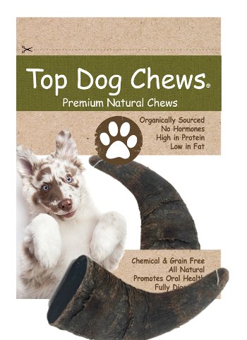 Water Buffalo Horn Small 1 Piece Top Dog Chews