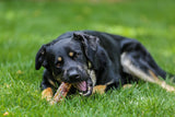 6" Beef Trachea Dog Treats, 10 count - Top Dog Chews