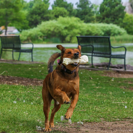 8"-10" Rawhide Bones - 16 Pack - Large Bones - Top Dog Chews
