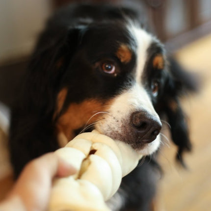 Beef Cheek Roll 9"-11" - Top Dog Chews