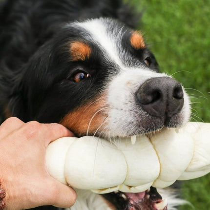 Beef Cheek Roll 9"-11" - Top Dog Chews