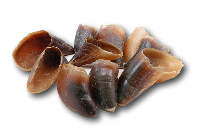 Beef Hooves 10 pack - Top Dog Chews