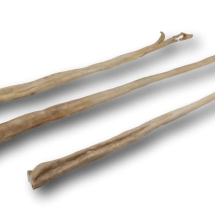 Beef Tail Full - Top Dog Chews