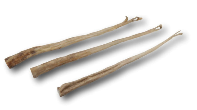 Beef Tail Full - Top Dog Chews