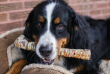 Beef Trachea 12" Dog Treats, 10 Count - Top Dog Chews