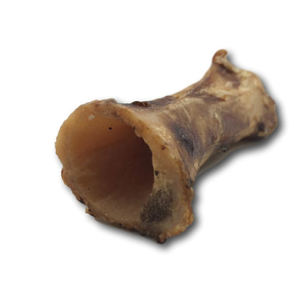 Buffalo Femur Bone 4"-6" - Top Dog Chews
