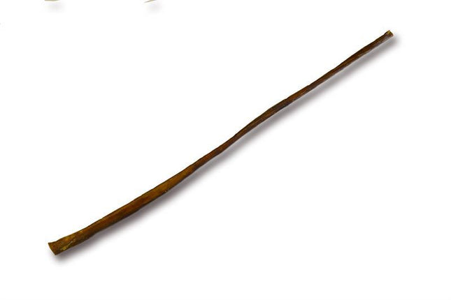 Bully Stick Full Cane 30"-32" Dog Treat 10 Pack - Top Dog Chews