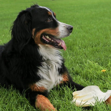 Cow Ears Jumbo With Bully Dust - Top Dog Chews