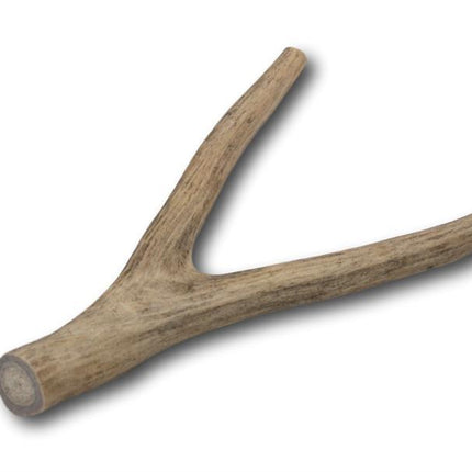 Deer Antler Dog Treats- Large - 1 Piece - Top Dog Chews