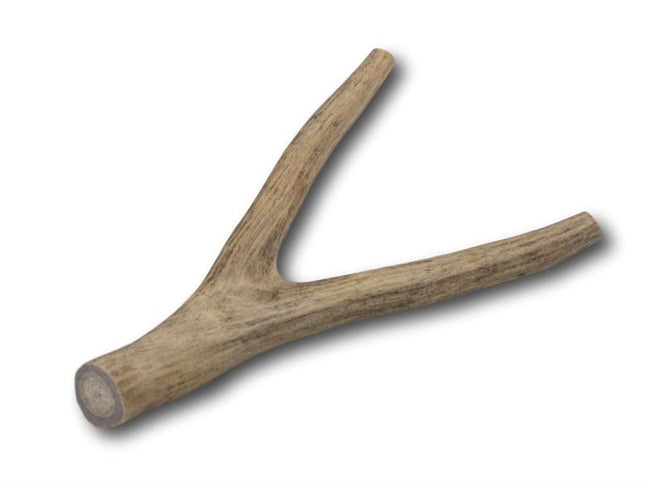 Deer Antler Dog Treats- Large - 1 Piece - Top Dog Chews
