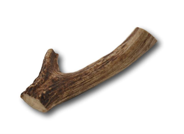 Deer Antler Dog Treats - Medium - 1 Piece - Top Dog Chews