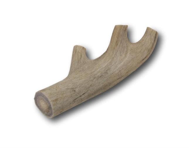 Deer Antler Dog Treats - Small - 1 Piece - Top Dog Chews
