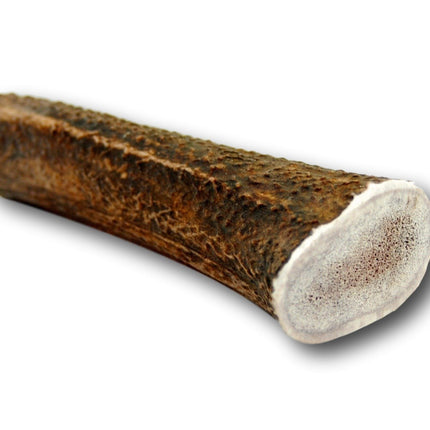 Elk Antler Dog Treat- Extra Large - 1 Piece - Top Dog Chews