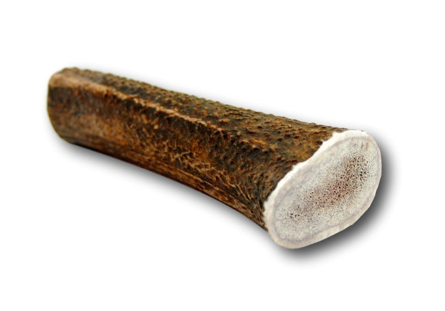 Elk Antler Dog Treat- Extra Large - 1 Piece - Top Dog Chews