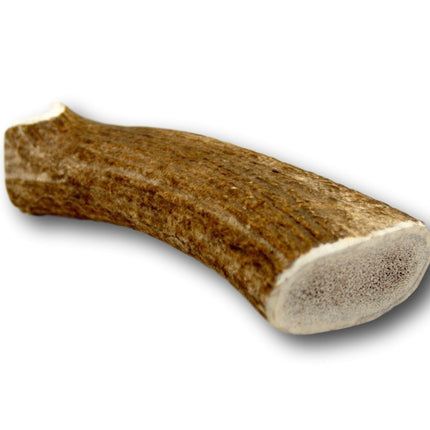 Elk Antler Dog Treat- Extra Large - 1 Piece - Top Dog Chews
