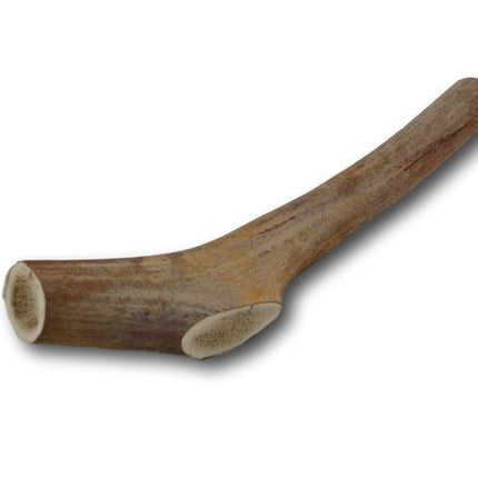 Elk Antler Dog Treat- Large - 1 Piece - Top Dog Chews