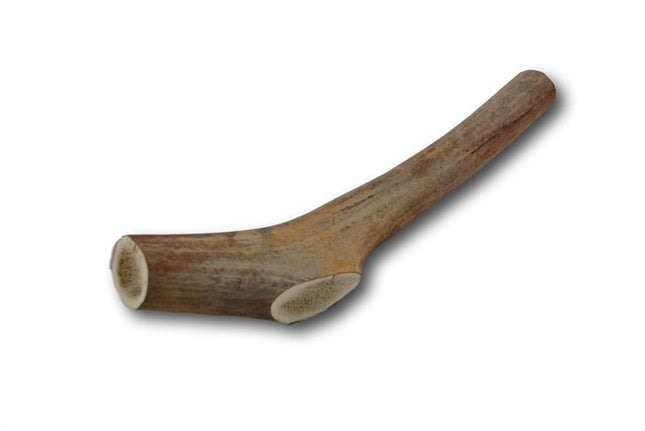 Elk Antler Dog Treat- Large - 1 Piece - Top Dog Chews