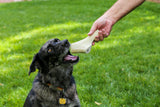 Elk Antler Dog Treat- Large - 1 Piece - Top Dog Chews