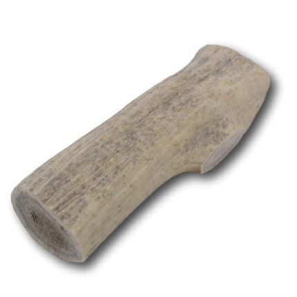 Elk Antler Dog Treat- Medium - 1 Piece - Top Dog Chews