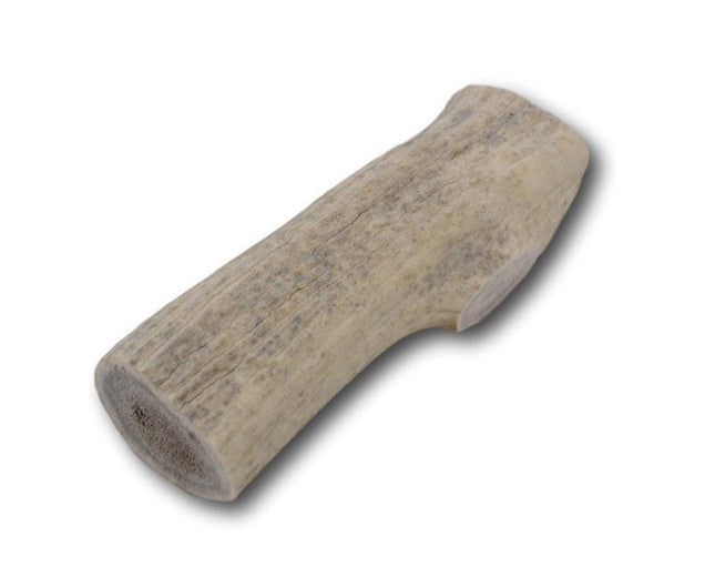 Elk Antler Dog Treat- Medium - 1 Piece - Top Dog Chews