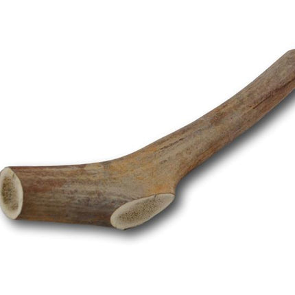 Elk Antler Dog Treat- Small - 1 Piece - Top Dog Chews