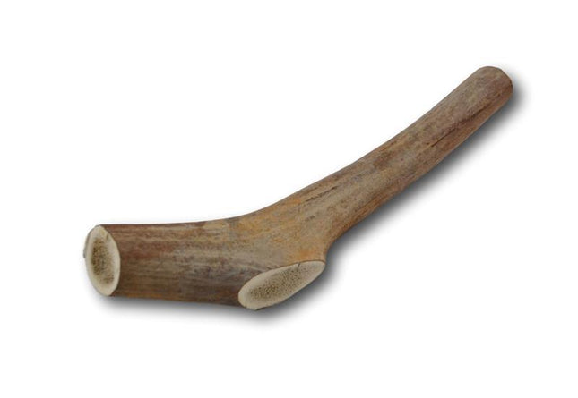 Elk Antler Dog Treat- Small - 1 Piece - Top Dog Chews