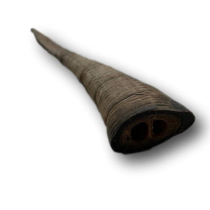 Goat Horn Medium 9"-11" - Top Dog Chews