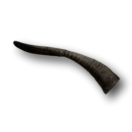 Goat Horn Medium 9"-11" - Top Dog Chews