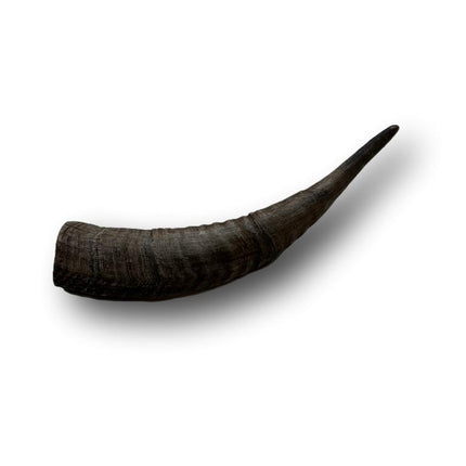 Goat Horn Small 5"-7" - Top Dog Chews