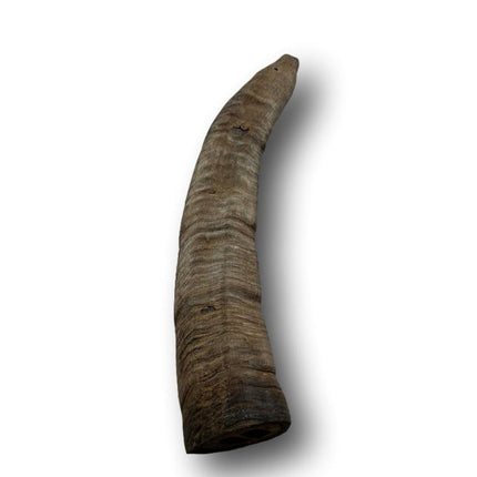 Goat Horn Small 5"-7" - Top Dog Chews