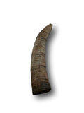 Goat Horn Small 5"-7" - Top Dog Chews