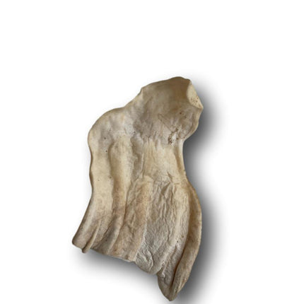 Lamb Ear Dog Treats - All Natural 50 Pack - Top Dog Chews