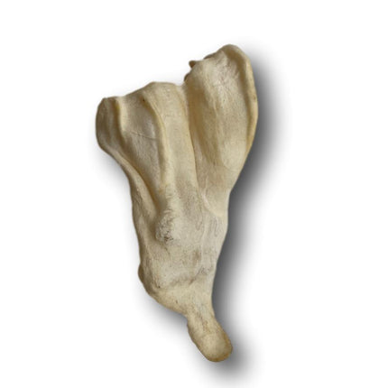 Lamb Ear Dog Treats - All Natural 50 Pack - Top Dog Chews