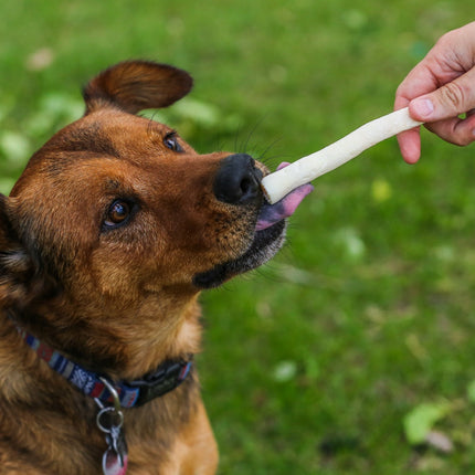 Ox Tail - 5" to 7" - 1 Piece - Top Dog Chews