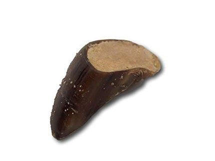 Peanut Butter Filled Cow Hooves for Dogs - Made in The USA Bag of 5 - Top Dog Chews